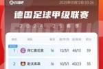 德甲积分榜：拜仁4分优势领跑，锁定德甲半程冠军